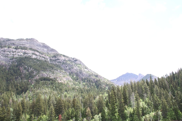 Waterton Lakes, Alberta, Kanada