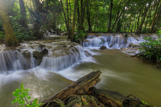 Waterwall bonito no nationalpark da província de Kanchanaburi, Tailândia