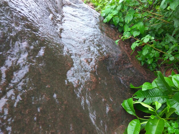 Foto watery rock stone