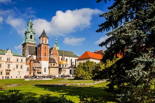 Wawel-Hügel mit Kathedrale in Krakau