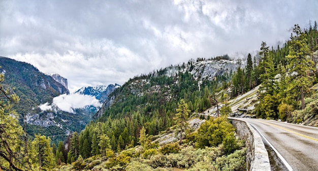 Wawona Road en el Parque Nacional Yosemite - California, Estados Unidos