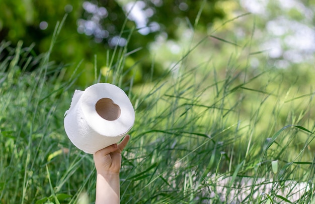 wc papel tisú y cola verde pasto manos de niño sosteniendo rollos de papel higiénico