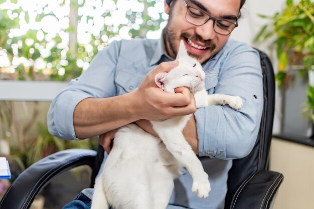 Webdesigner ruhen sich am Arbeitsplatz mit weißer Katze aus