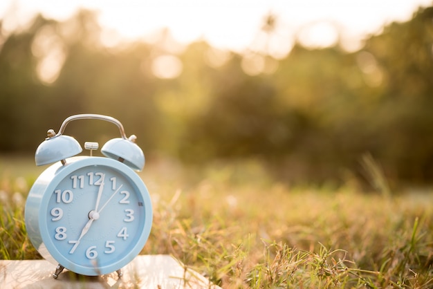 Wecker auf dem Rasen in der Morgensonne