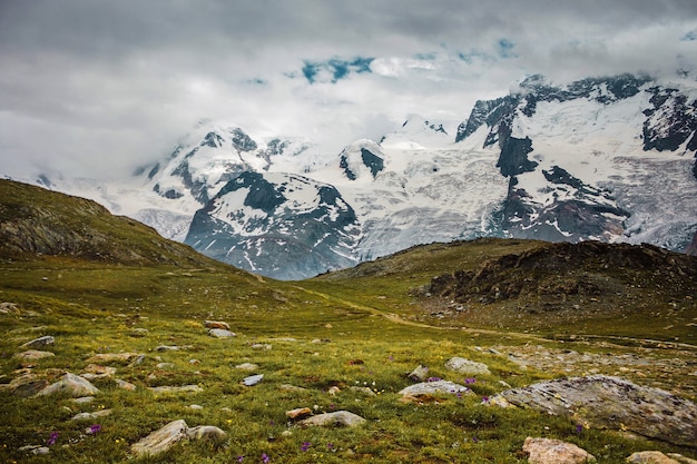 Weg grüne Wiesen in den Schneebergen Zermatt Schweizer Alpen wandern in der Schweiz Europa