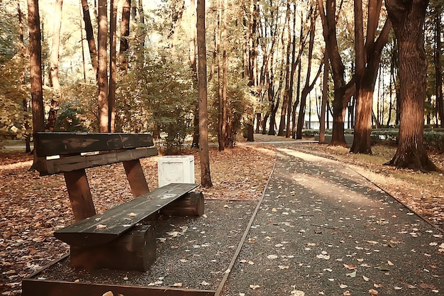 weg herbstpark / herbstlandschaft, gelber park in herbstbäumen und blättern, ein schöner sonniger tag im stadtpark. der Herbst