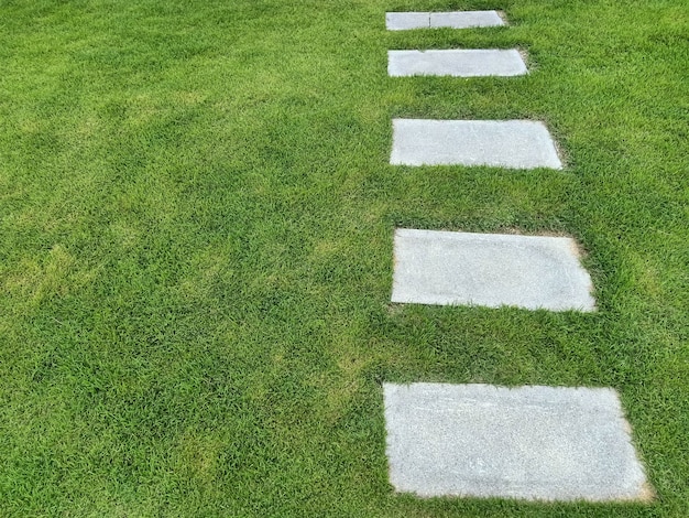 Foto weg im garten, trittsteine im rasen, weg zum erfolg und meilensteinkonzept.