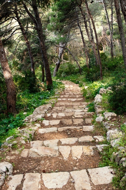 Weg im Nationalpark Porto Selaggio, Apulien, Italien