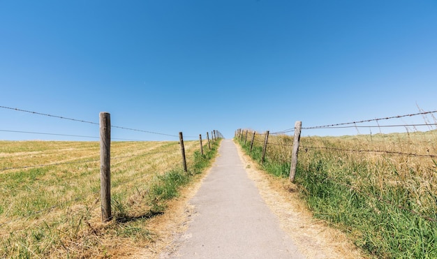 Weg in den blauen Himmel