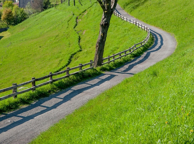 Weg in der Natur