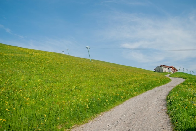 Weg in der Natur