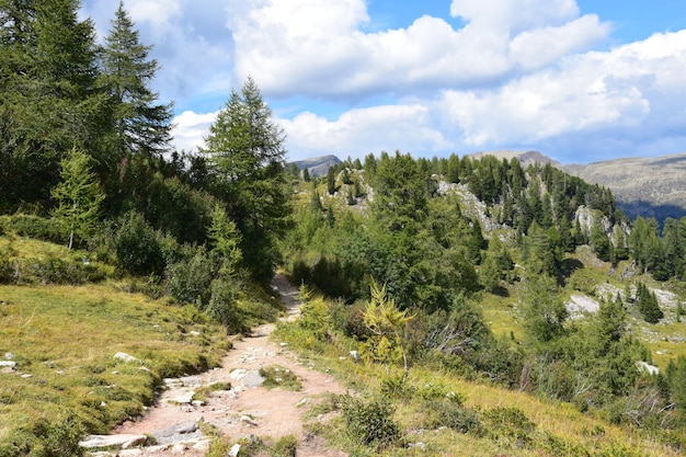 Foto weg in die berge