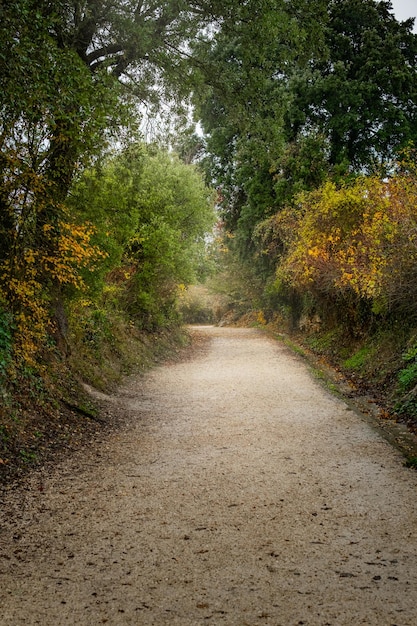 Weg und Route in der Herbstsaison