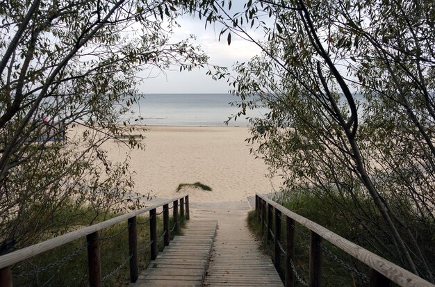 Weg zum leeren Sandstrand über Holztreppen, die durch die Bäume führen