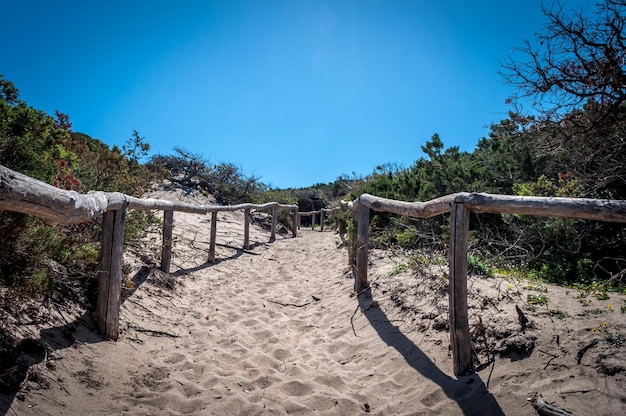 Weg zum Meer durch den Strand