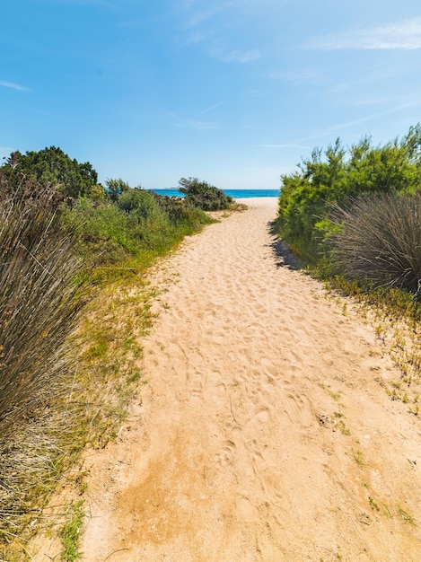 Weg zum Meer in Liscia Ruja