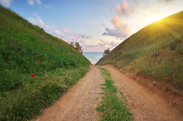 Weg zum Meer Naturzusammensetzung