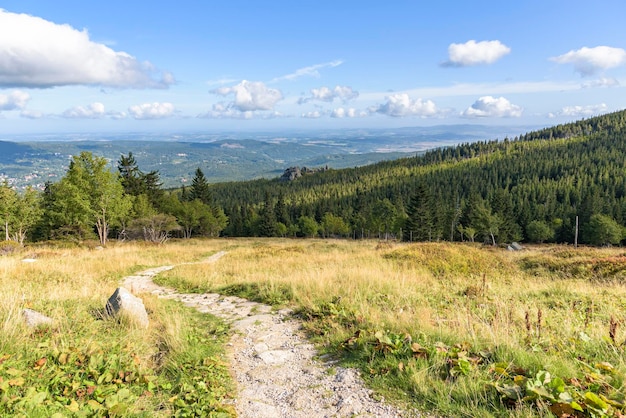 Weg zur Schutzhütte unter dem Berg Labski Szczyt