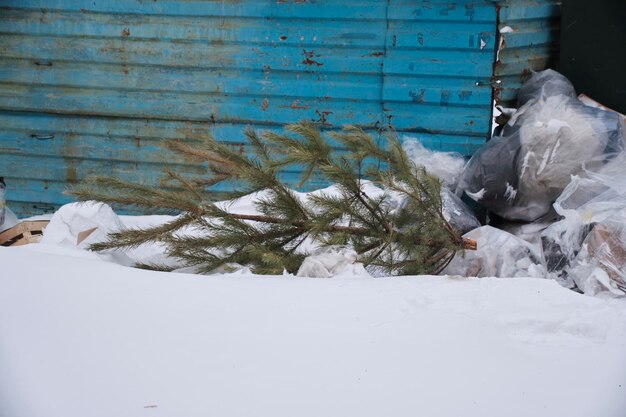 Weggeworfene Weihnachtsbäume nach Neujahrsferien