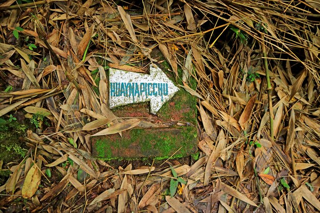 Wegweiser am Boden für Wanderweg