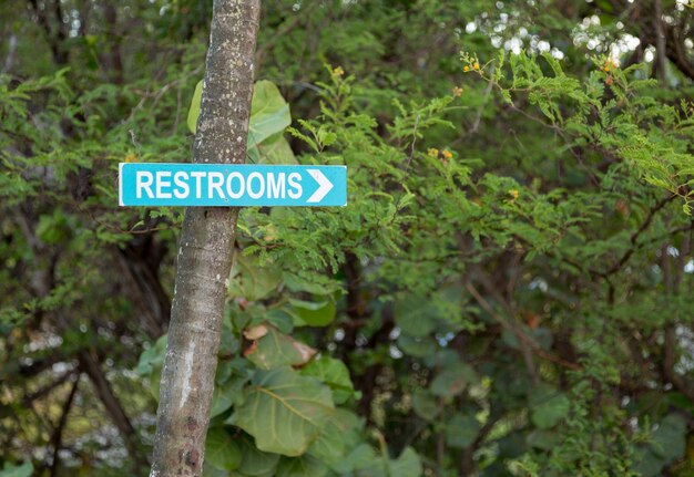 Wegweiser zu den Toiletten