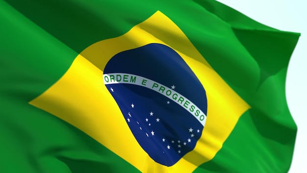 Wehende Flagge Brasiliens Schöne Flagge der Föderativen Republik Brasilien