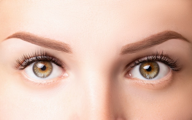 Weibliche Augen mit langen Wimpern. Klassische 1D, 2D Wimpernverlängerungen und hellbraune Augenbrauen hautnah. Wimpernverlängerung, Laminierung, Biowave, Microblading-Konzept