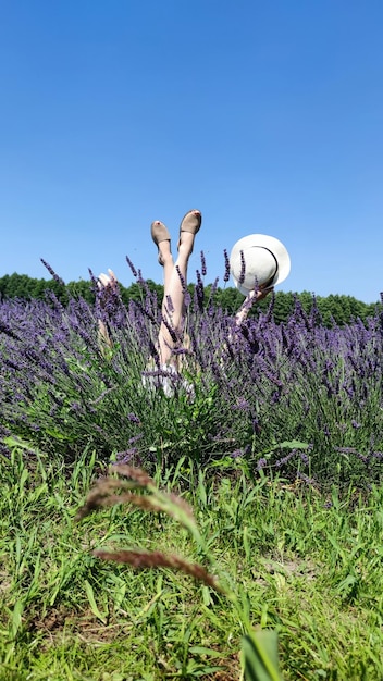 weibliche Beine ragen aus Lavendelblüten