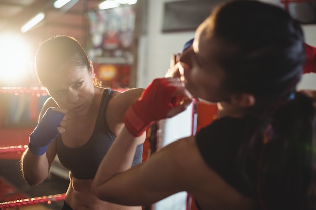 Weibliche Boxer, die im Boxring kämpfen