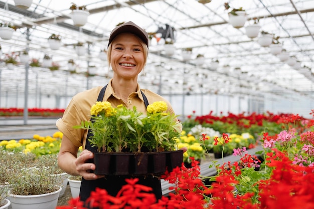 Weibliche Floristengewächshausarbeitskraft, die Blumen hält