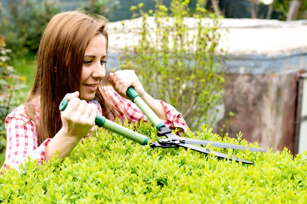 Weibliche gärtner beschneiden eine hecke im hinterhof am sonnigen frühlingstag