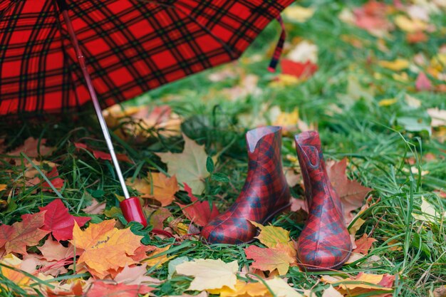 Weibliche Gummistiefel mit Herbstahornblättern auf Gras