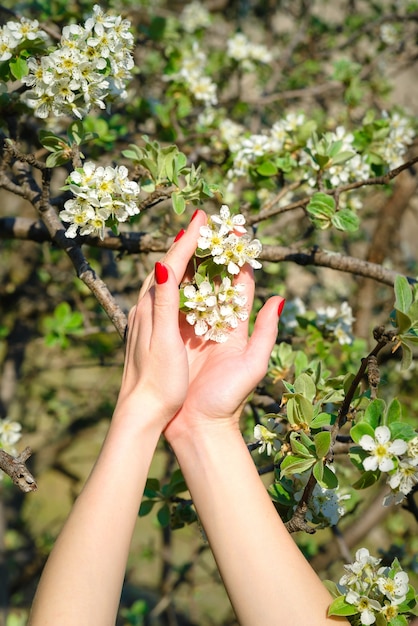 Weibliche Hände auf einem Hintergrund eines blühenden Frühlingsgartens an einem sonnigen Tag