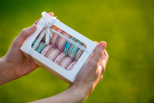 Weibliche Hände, die Pappgeschenkbox mit bunten rosa blauen handgemachten macaron Plätzchen auf Grün unscharfem Kopienraumhintergrund halten.