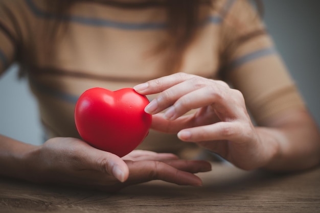 Weibliche Hände, die rotes Herz halten, Welttag der psychischen Gesundheit und Welttag des Herzens, Lebens- und Krankenversicherung, CSR soziale Verantwortung, Organspende, Konzept der Liebe