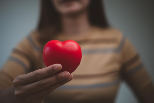 Weibliche Hände, die rotes Herz halten, Welttag der psychischen Gesundheit und Welttag des Herzens, Lebens- und Krankenversicherung, CSR soziale Verantwortung, Organspende, Konzept der Liebe