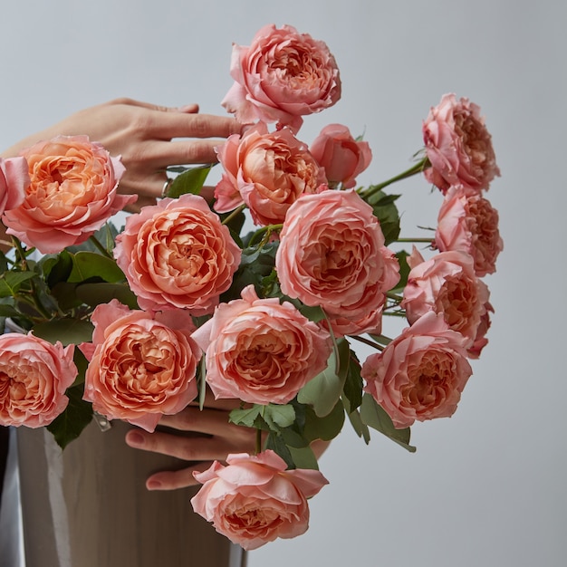 Weibliche Hände halten eine Vase mit rosa Rosen auf grauem Hintergrund ein Geschenk zum Frauentag