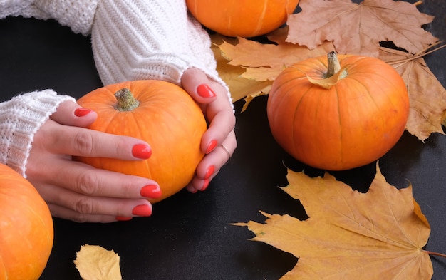 Weibliche Hände halten einen kleinen Kürbis. Dunkler Hintergrund. Herbstkonzept. Selektiver Fokus.