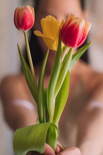 Weibliche Hände halten einen Strauß rosa Frühlingsblumen Tulpen Feminine Details der Schönheit