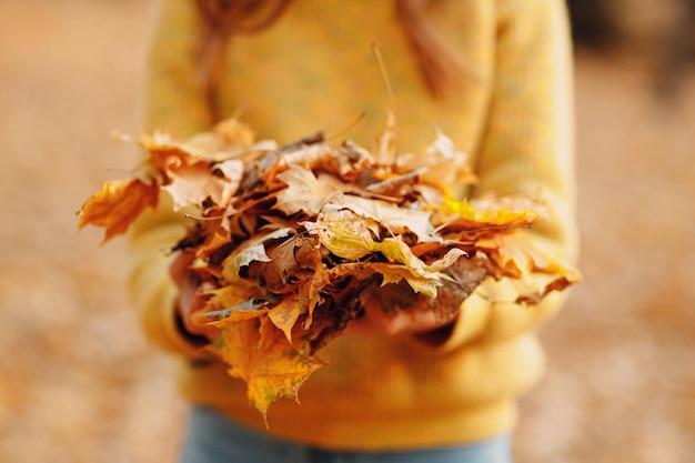 Weibliche Hände halten gelbe Ahornblätter im herbstlichen Parkhintergrund