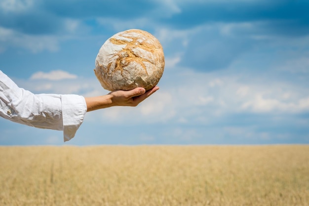 Weibliche Hände halten selbstgebackenes Brot über einem blauen Sommerhimmel in einem Weizenfeld