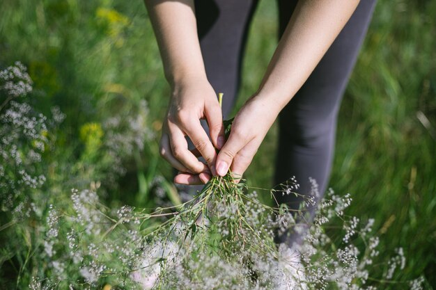 Foto weibliche hände pflücken im sommer wilde blumen