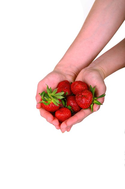 Weibliche Hand, die eine frische süße Erdbeere lokalisiert auf weißem Hintergrund hält. Bio-Erdbeeren.