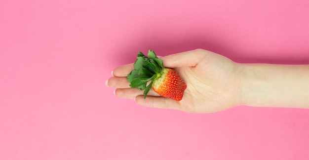 Weibliche Hand, die eine große Erdbeere auf rosa Hintergrund hält. Flaches Banner. Platz für Text. Abstrakt.