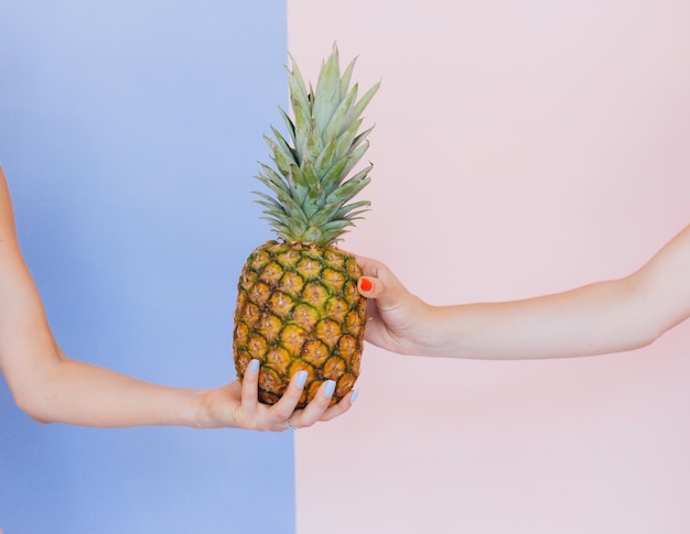 Weibliche Hand, die eine reife Ananas auf einem blauen und rosa Hintergrund hält Strand-Sommerferien