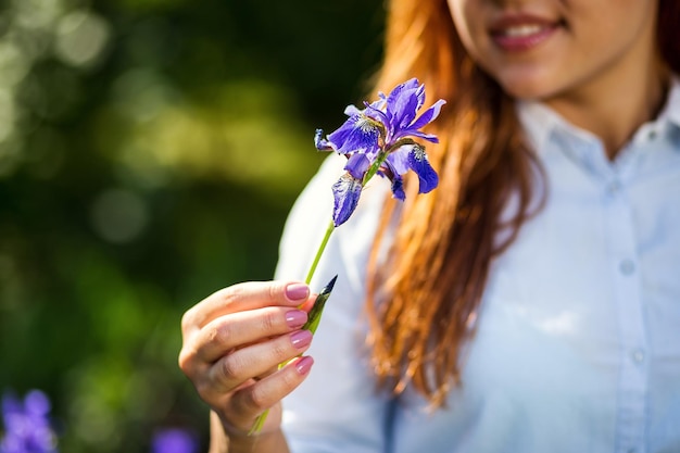 Weibliche Hand, die Irisblume berührtBlaue Irisblume in der GartenblüteWeibliche Hände, die eine blaue Iris auf einem grünen verschwommenen Hintergrund in der Nähe halten