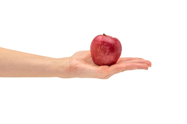 Weibliche Hand, die roten Apfel hält. Getrennt auf Weiß