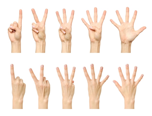 Weibliche Hand, die von eins bis fünf zählt