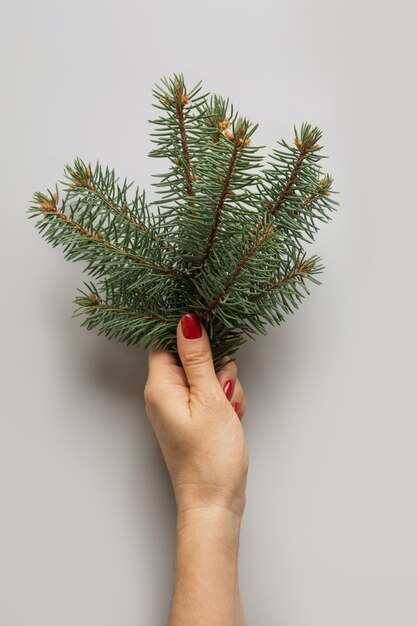 Weibliche Hand, die Weihnachtsbaumaste auf Grau hält. Weihnachtsgrußkarte.