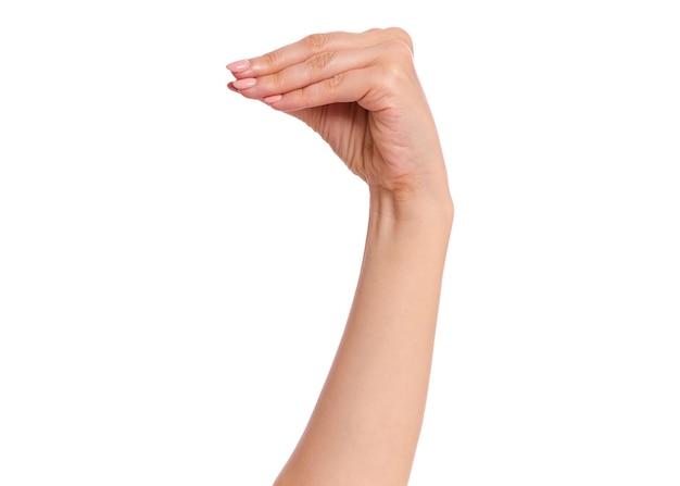 Weibliche Hand hält etwas Isoliertes auf weißem Hintergrund Schöne Hand einer Frau mit Kopierraum